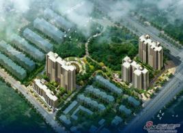 香港九龍城 香港九龍城