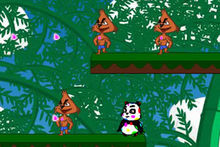 彩色熊貓橫空出世 彩色熊貓橫空出世