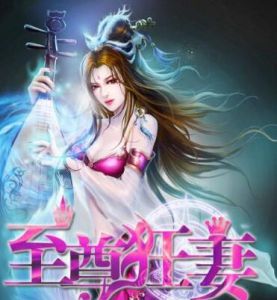 至尊狂妻 至尊狂妻