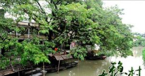 南沙東涌綠道水上遊船 南沙東涌綠道水上遊船