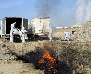 2005年11月15日 2005年11月15日