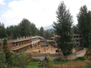 小石岩自然村 小石岩自然村