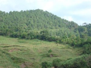 徐家箐自然村 徐家箐自然村