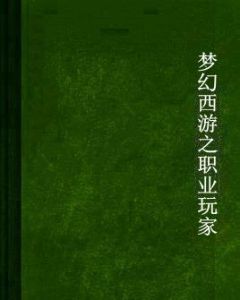 夢幻西遊之職業玩家 夢幻西遊之職業玩家