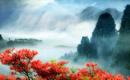 遂昌九龍山 遂昌九龍山