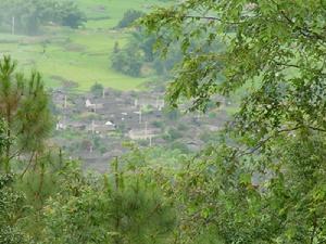 陽家坪自然村 陽家坪自然村