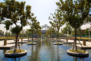 白塘生態植物園 白塘生態植物園