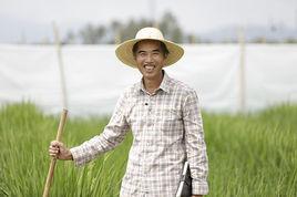 陳立雲[湖南農業大學種子科學與工程專業博士生導師]