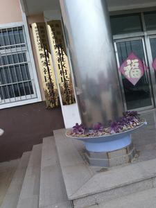 臧家村[山東煙臺市海陽區下轄村]