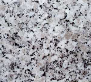 韓大英 | Pocheon Pink-B |