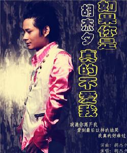 如果你是真的不愛我