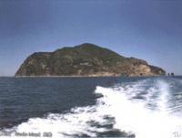 旅順蛇島 旅順蛇島