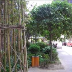 新開寺街 新開寺街