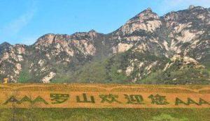 羅山國家森林公園