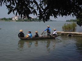 坦洲鹹水歌 坦洲鹹水歌