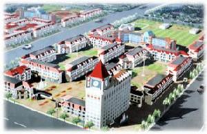 辛集禽蛋批發市場 辛集禽蛋批發市場