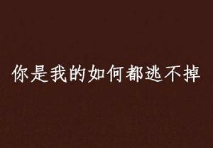 你是我的如何都逃不掉 你是我的如何都逃不掉