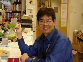 王艷林[三峽大學教授]