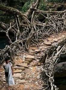 乞拉朋齊 乞拉朋齊