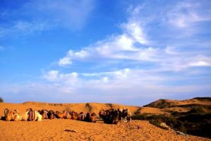 恩格貝生態旅遊區