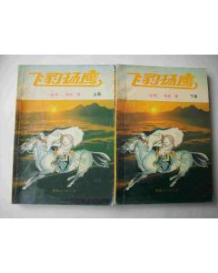 飛豹揚鷹 飛豹揚鷹