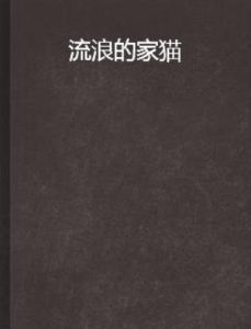 流浪的家貓