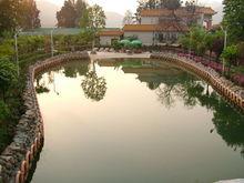 楓灣溫泉度假村