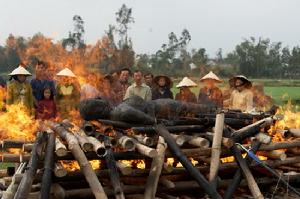 韓國恐怖片《Muoi》精彩劇照
