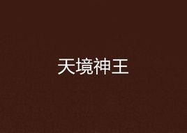 天境神王 天境神王