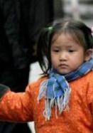 春草[2008年鄭曉龍執導現實題材電視劇]