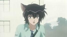 青柳立夏 青柳立夏