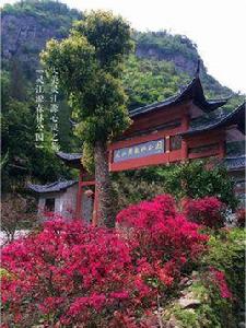 靈江源森林公園 靈江源森林公園