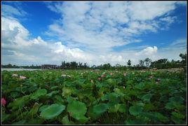 蘇州蓮池湖 蘇州蓮池湖