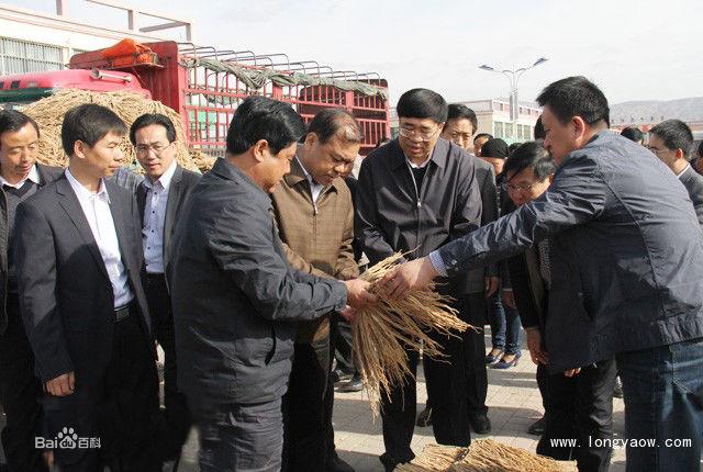 省人大副主任馬青林與市委書記張令平