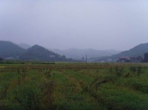 嶺崗自然村 嶺崗自然村