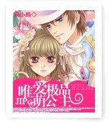 唯愛極品萌公主小說封面圖片