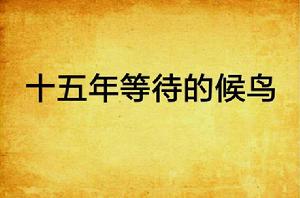 十五年等待的候鳥