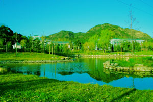 華電高級培訓中心 華電高級培訓中心