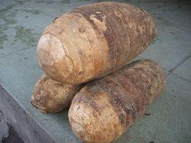 賀州香芋 賀州香芋