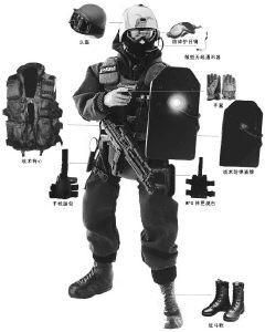 德國邊防警察第九大隊 德國邊防警察第九大隊