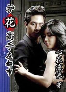 護花高手在都市 護花高手在都市
