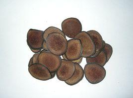 鹿茸切片 鹿茸切片