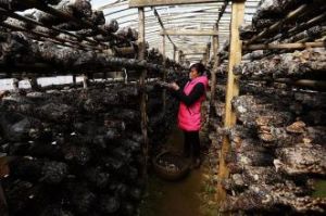 後塘溝村 後塘溝村