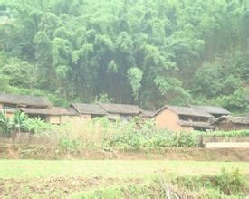 岔江自然村 岔江自然村