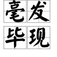 毫髮畢現 毫髮畢現