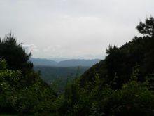 玉峰山森林公園