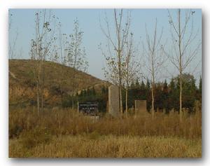 陵墓的一隅林木茂盛，經緯分明，一片翠綠。從其入口的大門一看，原來是一個樹葬公墓。在奢靡之風盛行的今天，如此文明、時尚的公墓值得各地效仿。