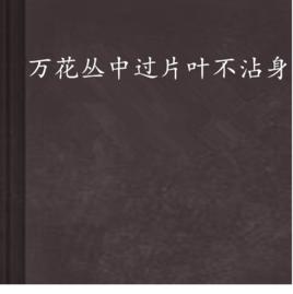 萬花叢中過片葉不沾身 萬花叢中過片葉不沾身