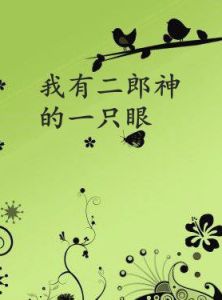 我有二郎神的一隻眼 我有二郎神的一隻眼