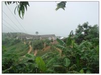 大松林自然村 大松林自然村